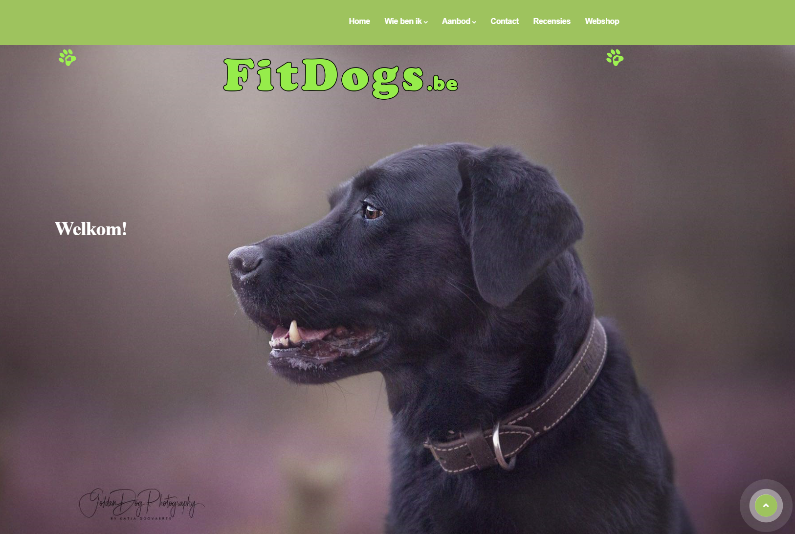 Fitdogs.be website door janvanbael.com